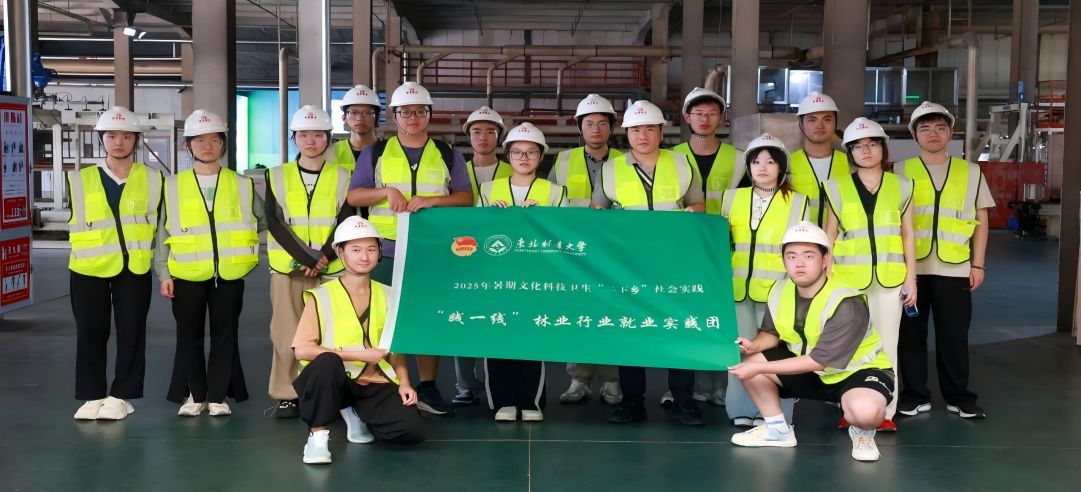 東北林業(yè)大學(xué)“踐一線”林業(yè)行業(yè)就業(yè)實(shí)踐團(tuán)走進(jìn)新港集團(tuán)，共繪產(chǎn)教融合新圖景！